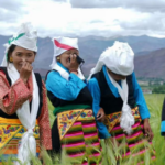 ラサをまとう優雅さ：ダムシュンとリンジョウが育んだ高原の衣装文化