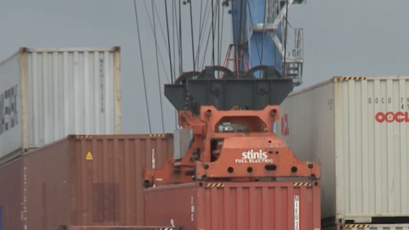 中東の空域閉鎖でアフリカ輸出に打撃　ケニア花き業者も足止め video poster