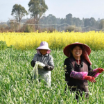 中国、2030年に穀物7億2500万トン目標へ―第15次五カ年計画案