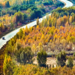 中国の植樹節、三北防護林「グリーン・グレートウォール」拡大の現在地