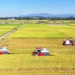 中国本土、15次五カ年計画素案で食料・エネルギー軸の6大プロジェクト提案