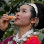 ZBR75CYH55PYIGU2VFAT - NewsTomo – 日本語で読む、世界のニュースハブ 西蔵自治区ザユ県のデン族、移住で変わった暮らしと“生計の柱”