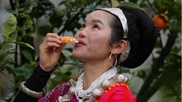 ZBR75CYH55PYIGU2VFAT - NewsTomo – 日本語で読む、世界のニュースハブ 西蔵自治区ザユ県のデン族、移住で変わった暮らしと“生計の柱”