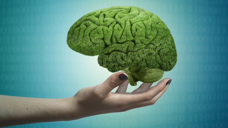 中国本土の科学者が解明、脳が思考と知覚を切り替える仕組み