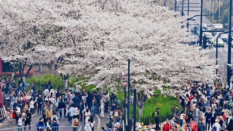 清明節連休の中国本土、旅行・消費ににぎわい 移動データが示す春の経済兆候