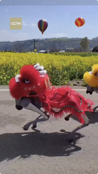 6QJPX60RPYPWST9L3BFU - NewsTomo – 日本語で読む、世界のニュースハブ コードで走るAI子犬、油菜畑で新たな農業支援へ video poster