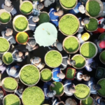 春をカップに閉じ込めた限定ドリンク、2026年春に全国販売開始 video poster