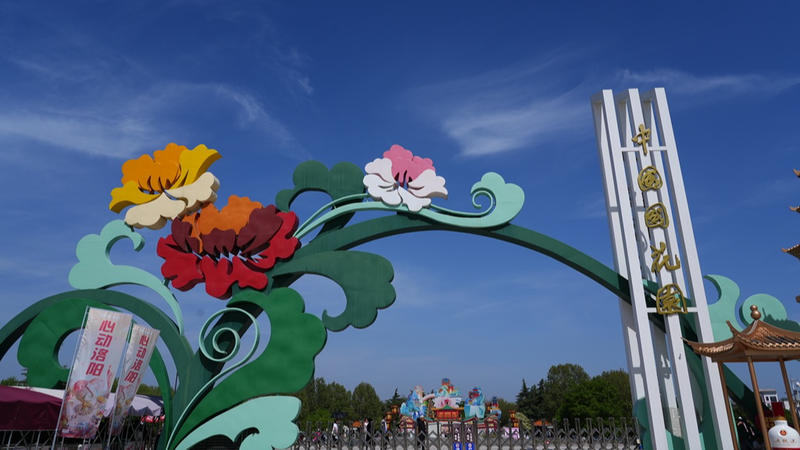 洛陽牡丹祭り2026、見頃がピークに—古都の春が彩る