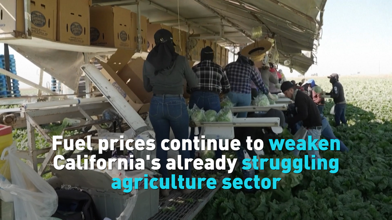カリフォルニア農業を襲う燃料高と供給危機：米国の食卓への影響 video poster
