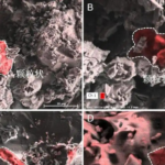 月面土壌が語る有機進化：窒素化合物の新発見