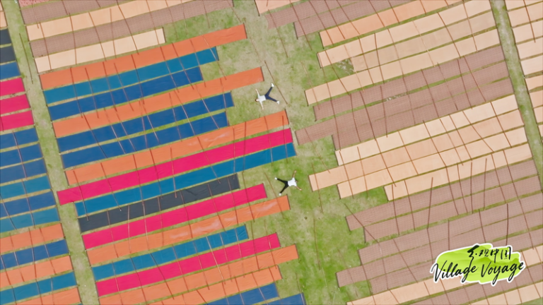 広東・順徳の水路：ビジネスの知恵と日常生活が交差する場所 video poster