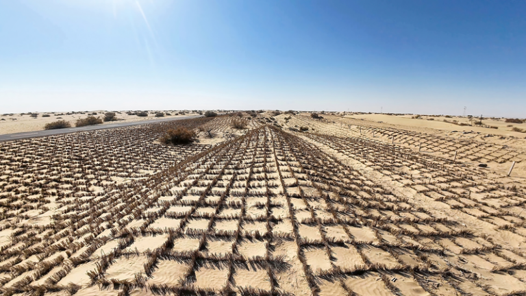 北斗システム搭載の無人機が拓く タクラマカン砂漠の緑化最前線 video poster