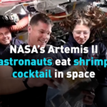 Artemis IIミッションで宇宙食にエビカクテル―初の体験が公開 video poster