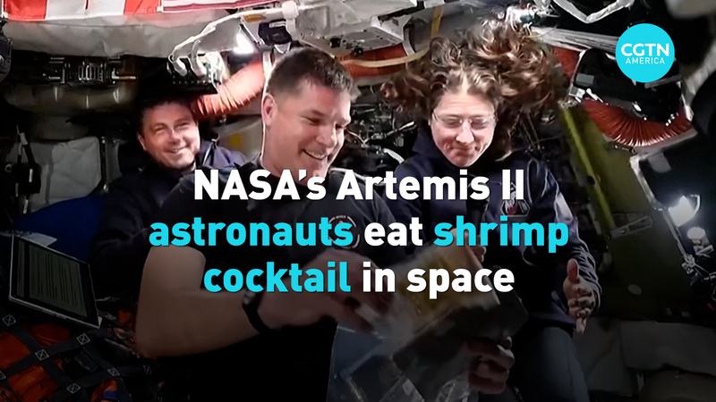 Artemis IIミッションで宇宙食にエビカクテル―初の体験が公開 video poster