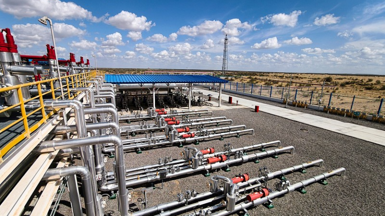 中国、トルクメニスタンとの包括的協力を促進へ 丁副首相が表明