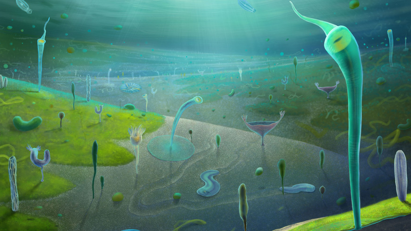 カンブリア紀爆発の前から複雑な動物群集、雲南で化石発見