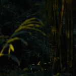 四川省青神県で復元事業が成功、春の蛍が闇夜を照らす