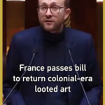 フランスの略奪文化財返還法案、中国の宝物帰還に道開くか video poster