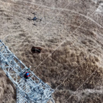 XLA6AL7PCVL6IJA327A6 - NewsTomo – 日本語で読む、世界のニュースハブ ドローンで設置された人工巣箱が新疆アルタイの渡り鳥を守る video poster