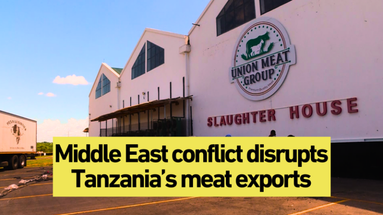 タンザニア食肉輸出、中東ルート混乱で1カ月約6割減 新市場と国内流通で対応 video poster