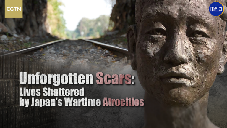 忘れてはならない傷跡：日本軍のWWIIアジアでの爪痕 video poster